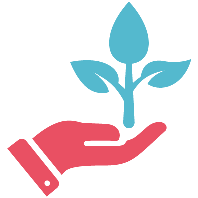Training, professional development and mentorship opportunities 